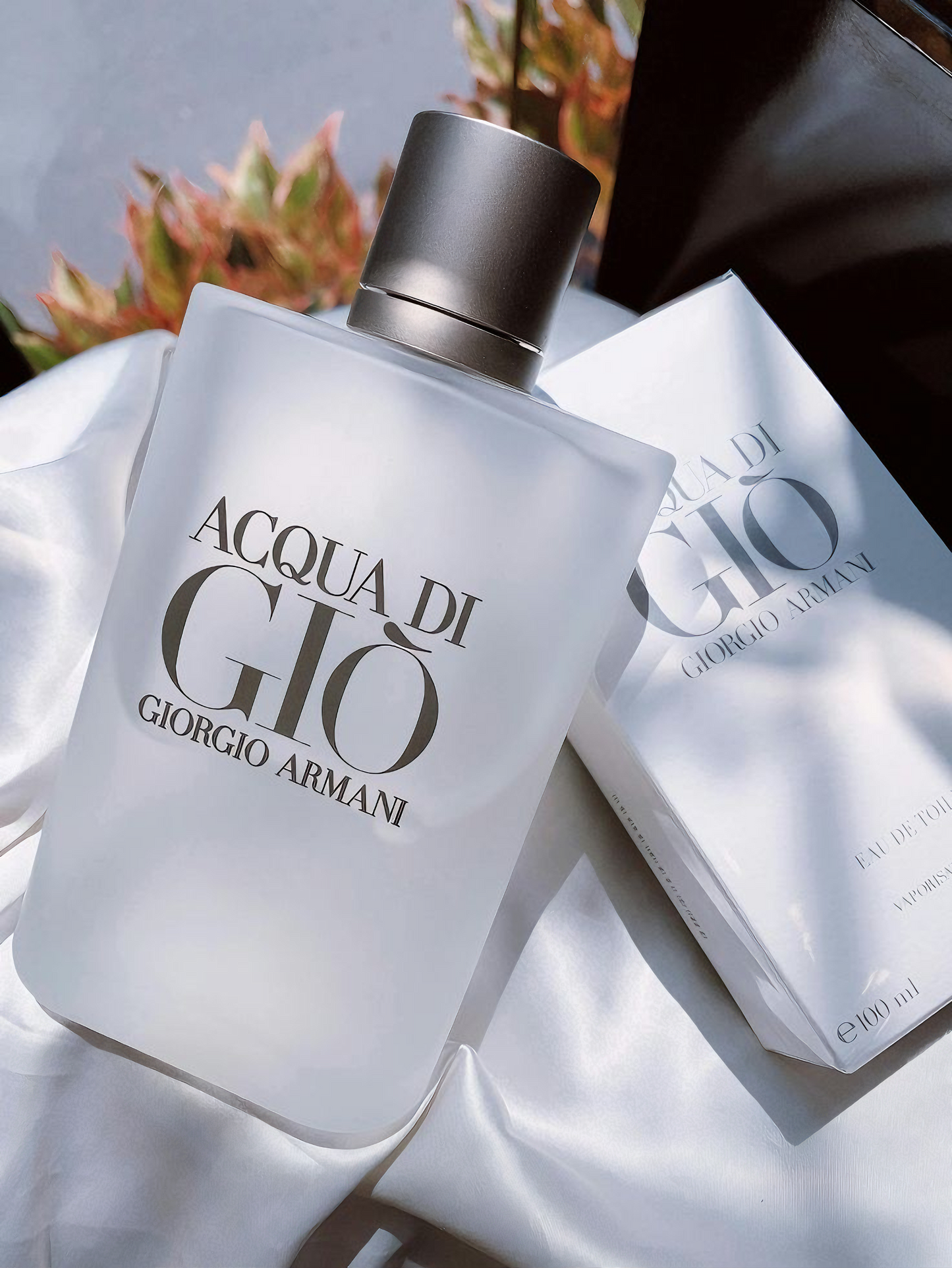2X1 ACQUA DI GIO + ONE MILLION DE PACO RABANNE